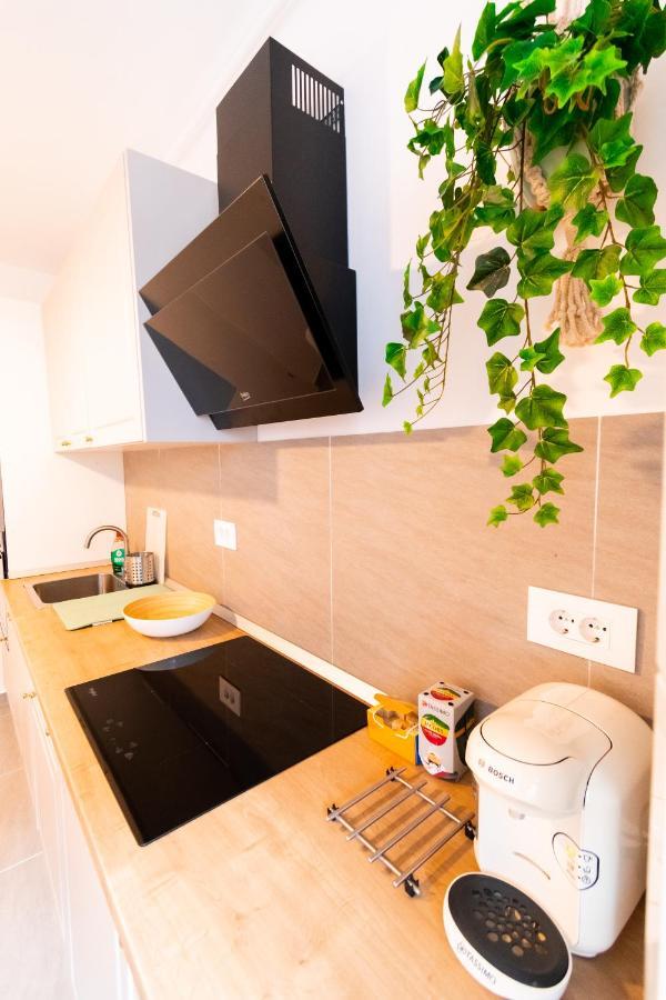 Brown Bear Apt. Boho Style Bedroom W/ City View & Free Parking Braşov Buitenkant foto