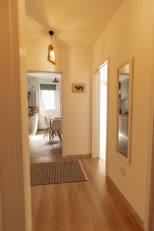 Brown Bear Apt. Boho Style Bedroom W/ City View & Free Parking Braşov Buitenkant foto